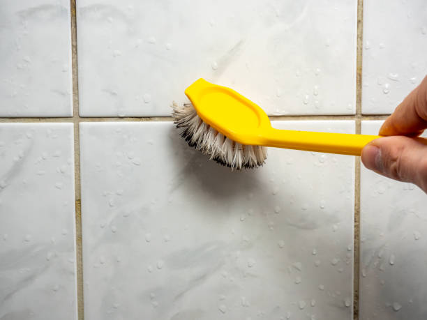 Best Affordable Mold Removal  in Stamford, CT